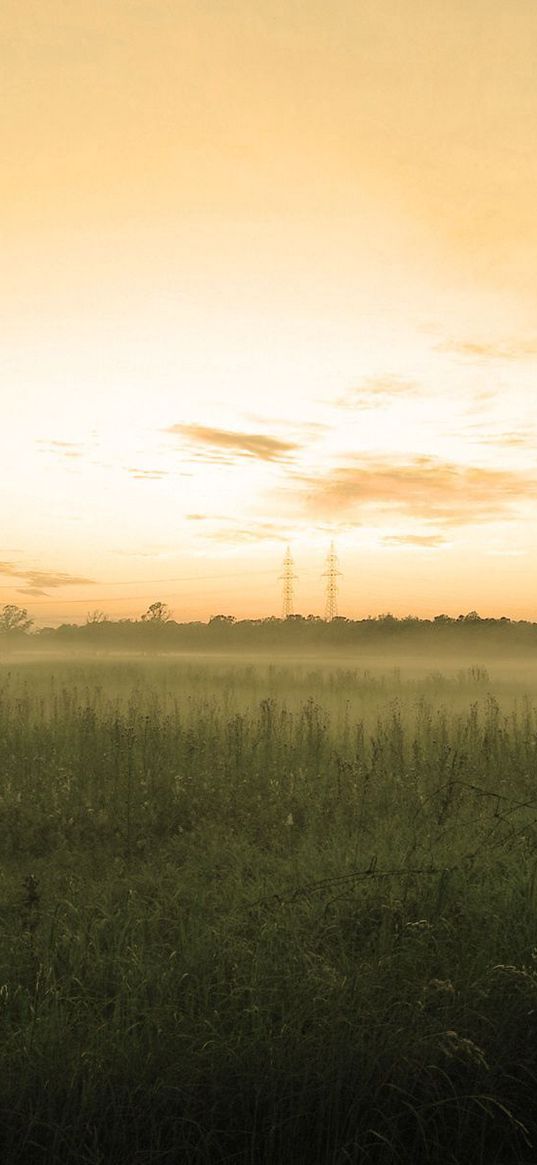 field, trees, evening, haze, sky, pastel