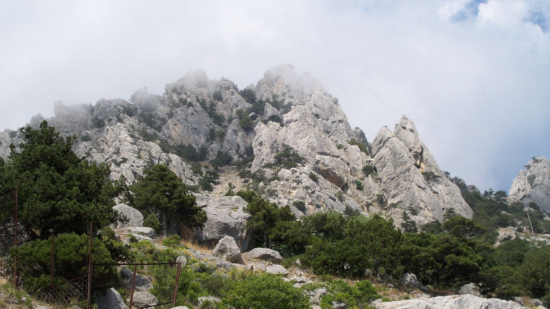 mountains, fog, trees, landscape, clouds, protection