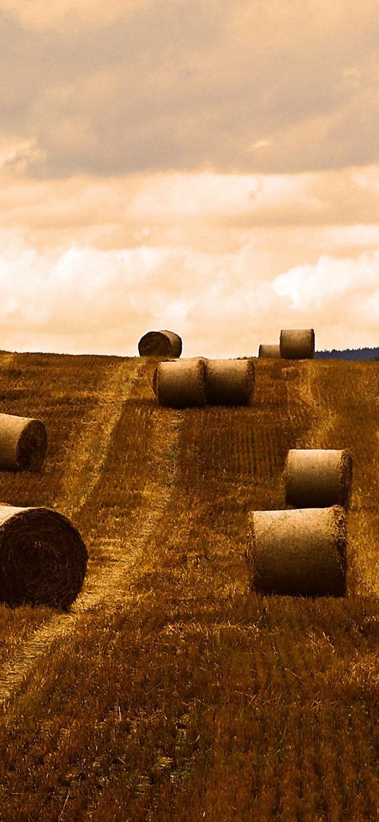 hay, bales, slope, sky, orange, clouds