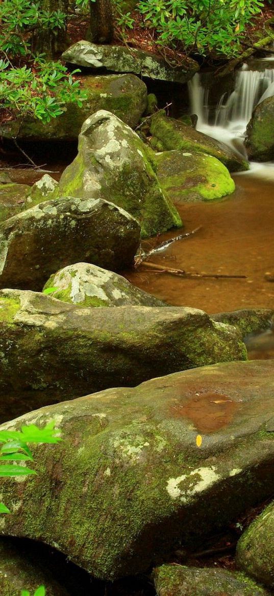 stones, stream, moss, murmur, branch, wood, source