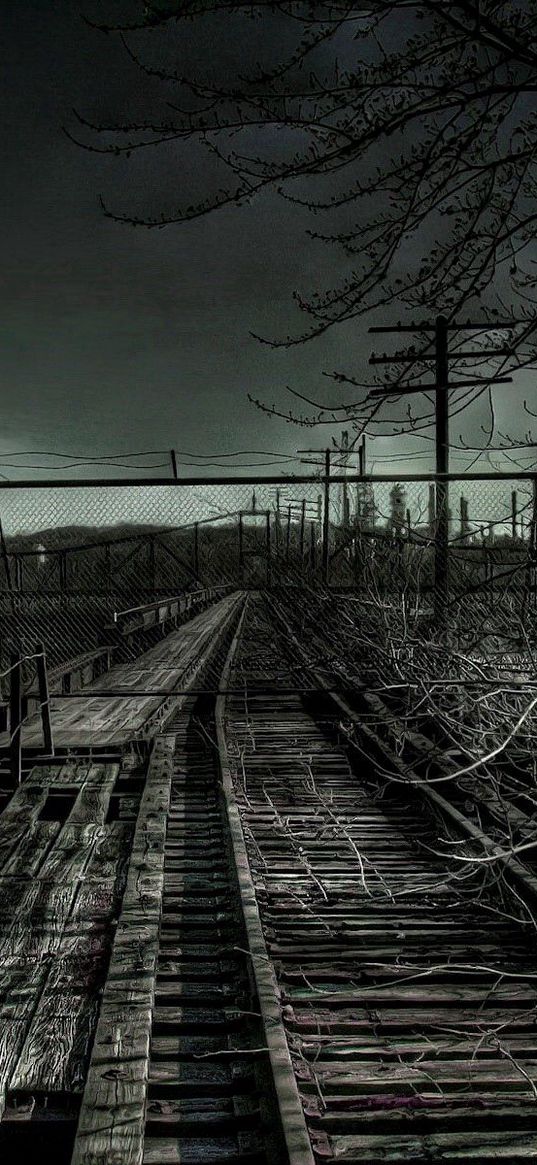 rails, railway, bushes, gloomy, dullness