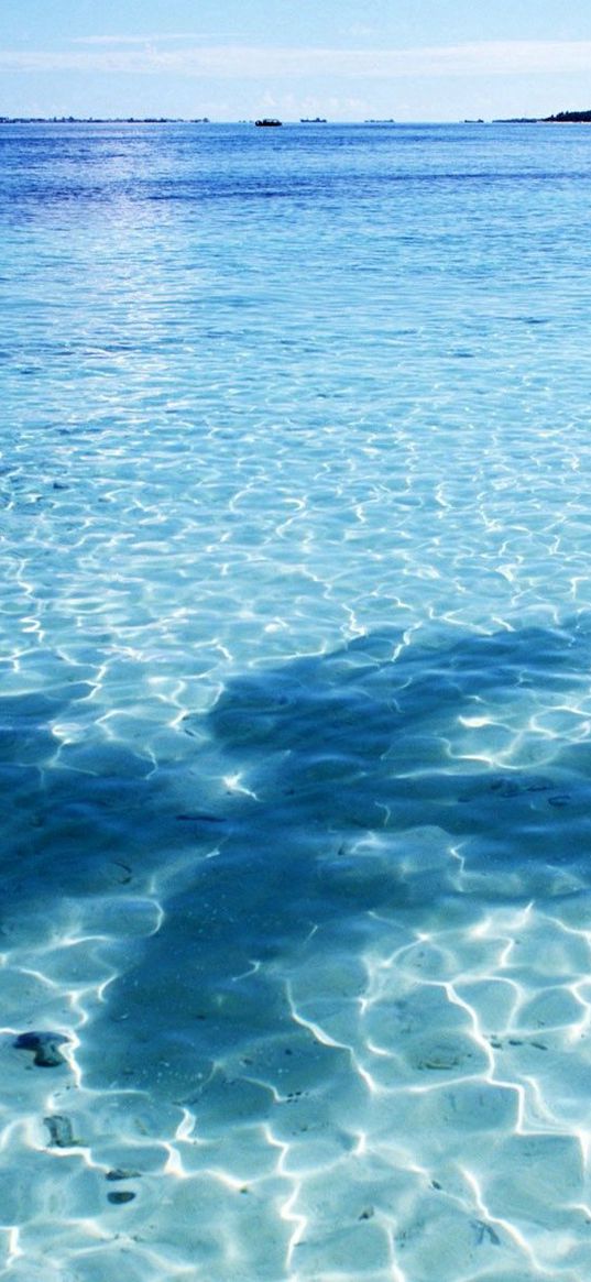 shadow, palm tree, azure, gulf, water, transparent, bottom