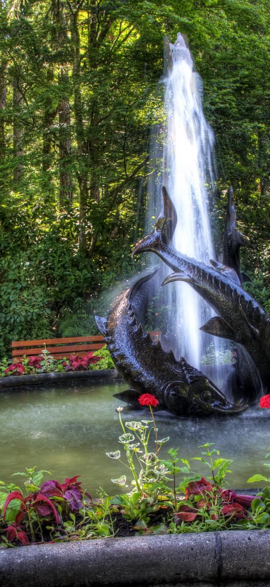 fountain, fishes, garden, vegetation, benches