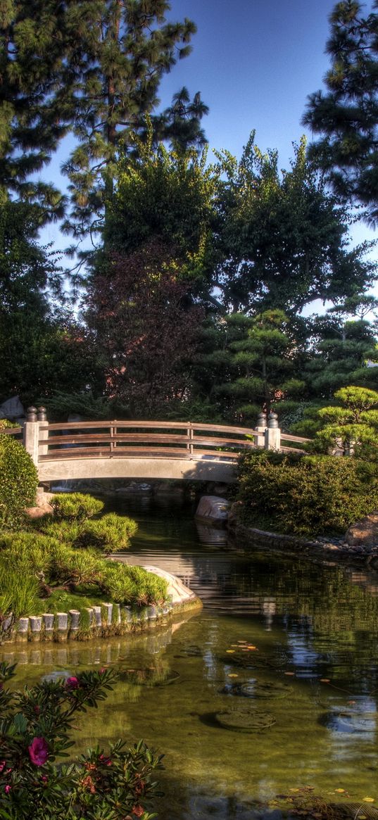 bridge, vegetation, trees, green, pond, pebble