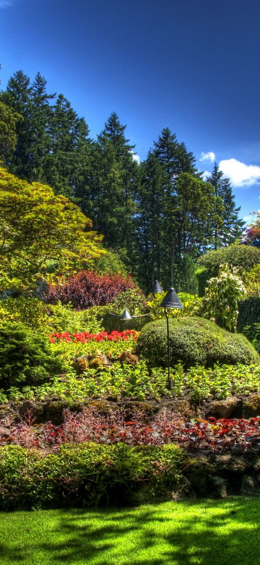 garden, vegetation, green, brightly, shadow, bed