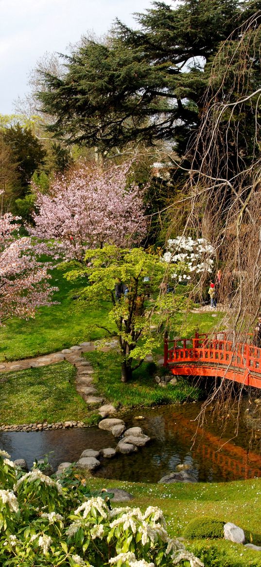 flowering, trees, bridge, stones, registration, from above, cloudy