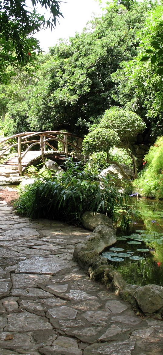 bridge, garden, path, pond, water-lilies, greens, stones