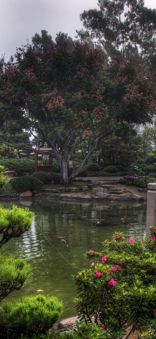 pond, garden, platform, vegetation, cloudy