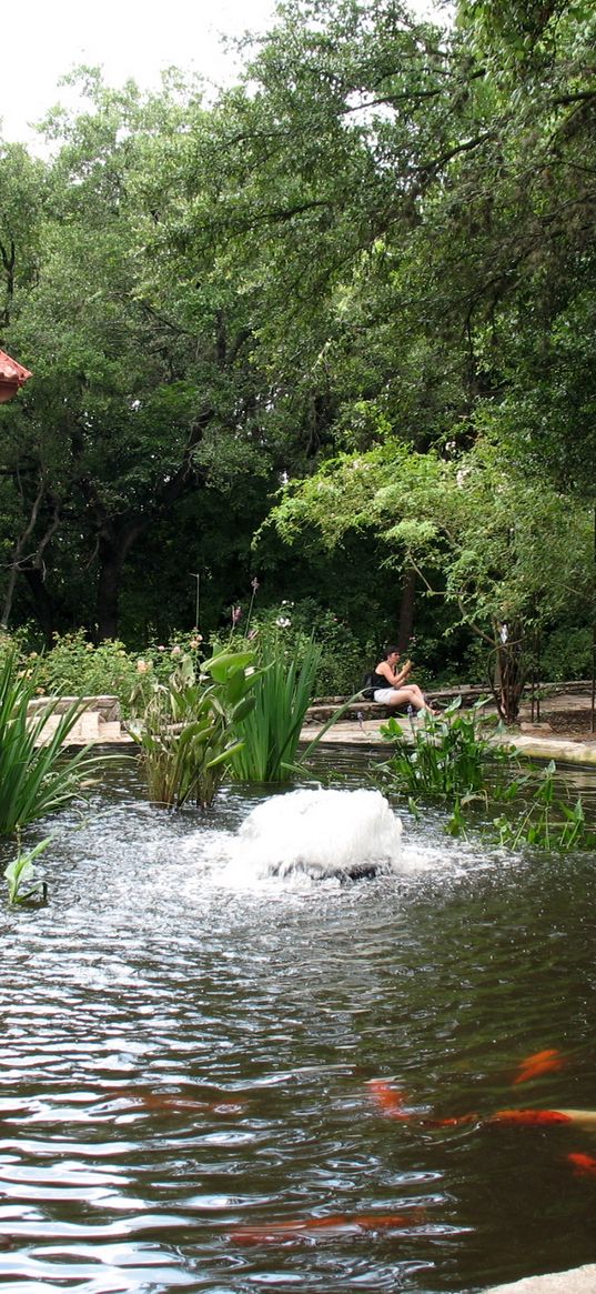 pond, arbor, fountain, fish, person