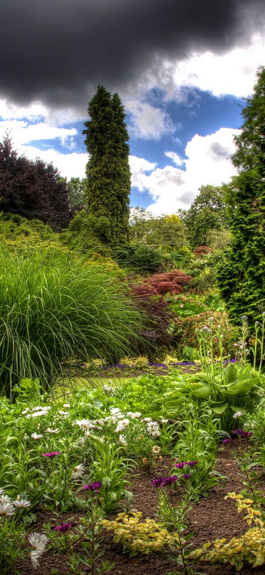 clouds, sky, garden, green, vegetation, cloudy, brightly