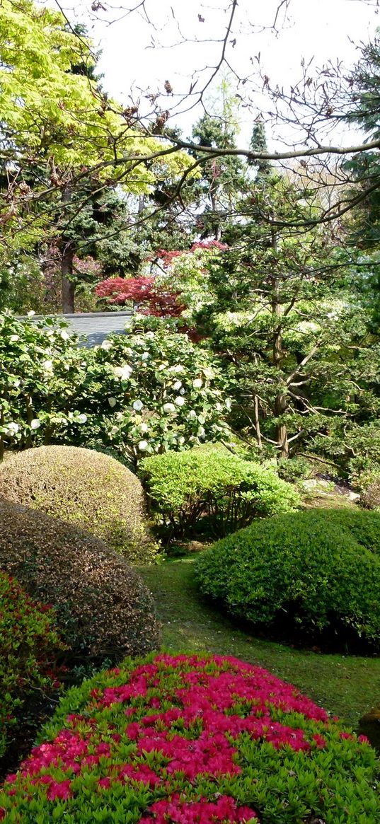 beds, vegetation, garden