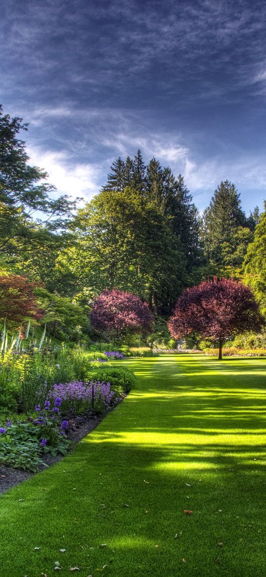 garden, trees, vegetation, lawn, grass, protection, sky, chains