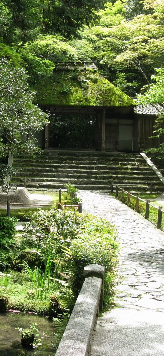 path, steps, construction, pond, vegetation, education