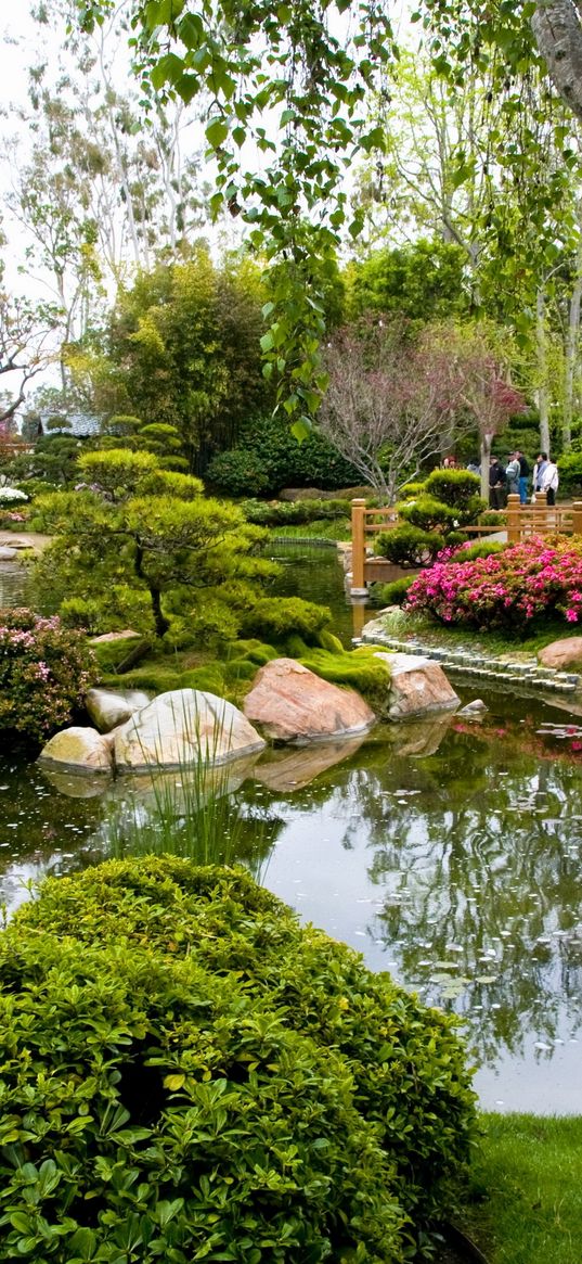 birch, garden, pond, trees, green, tourists