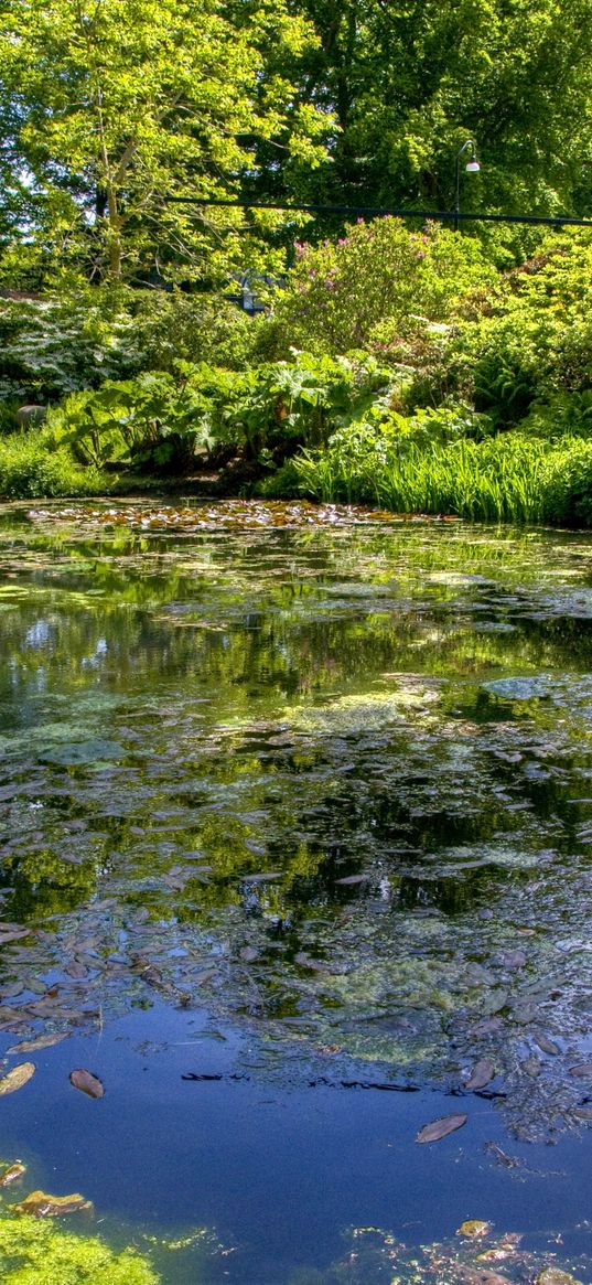 pond, column, rods, fountain, leaves, clearly