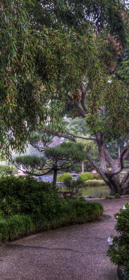 tree nursery, flowers, trees, bamboo, path, colors