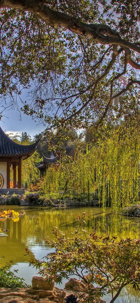 arbor, china, tree, branches, pond, flora