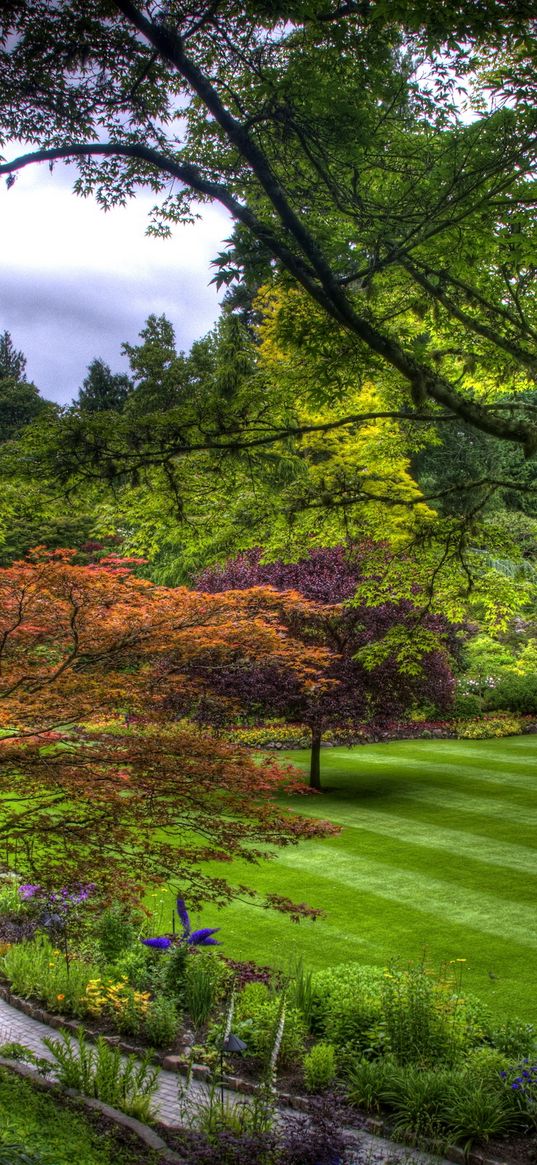 trees, green, lawn, garden, path, from above, strips