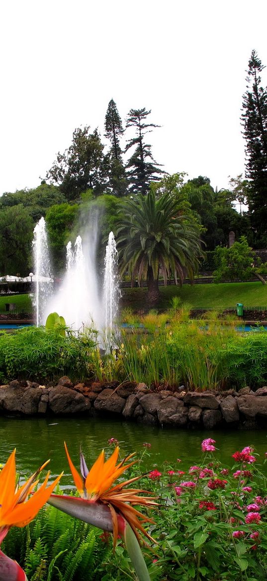 fountain, pond, garden, registration, flowers, yellow, brightly