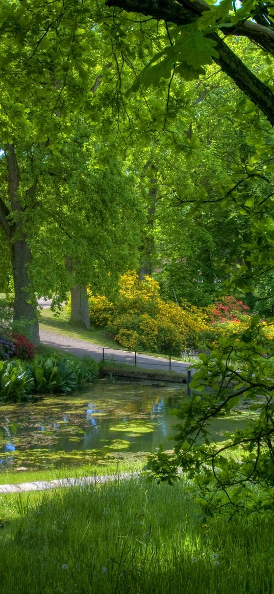 trees, garden, pond, people, green, serenity