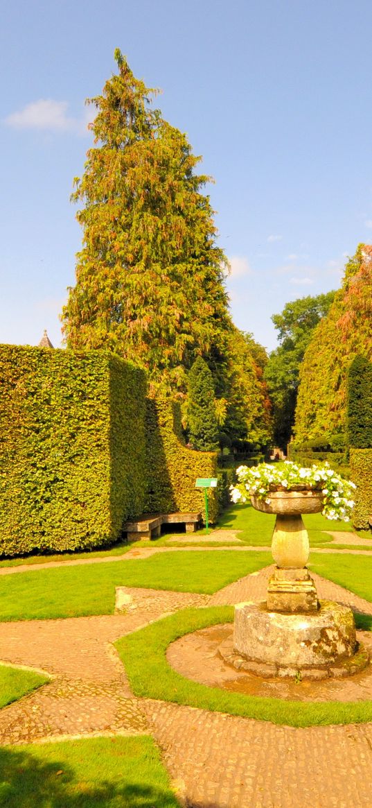 yard, statue, flowers, star, bushes, registration, light