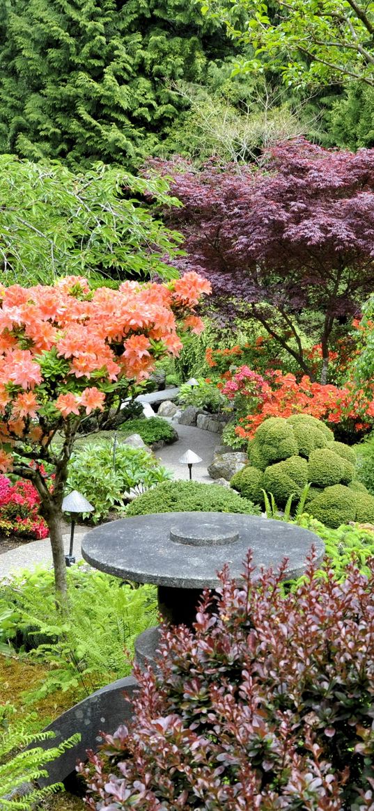 garden, trees, from above, bushes, orange, lilac, green