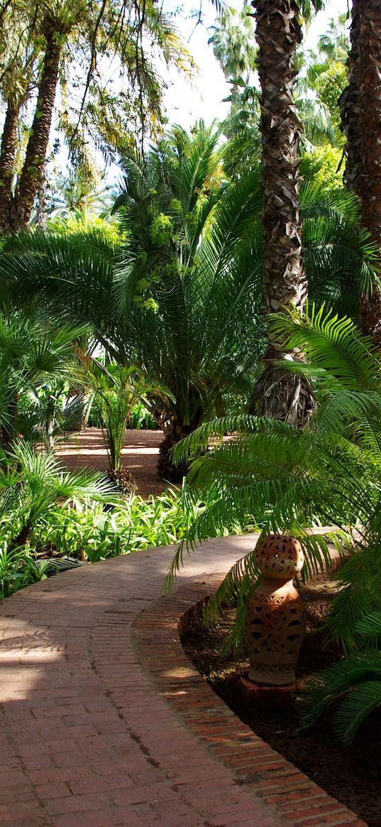 path, fern, turn, garden