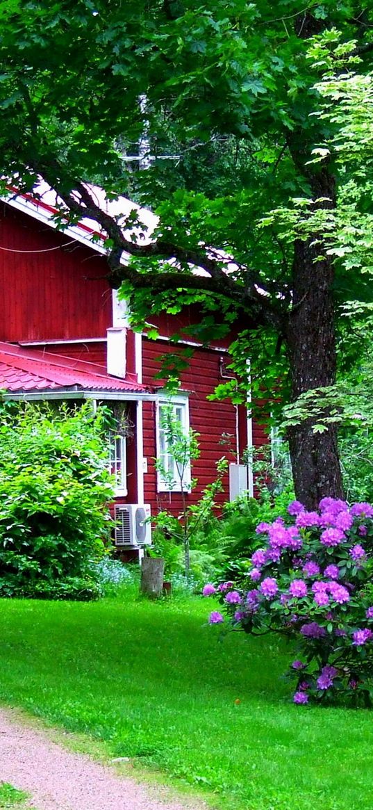 house, garden, yard, flowers, green, door