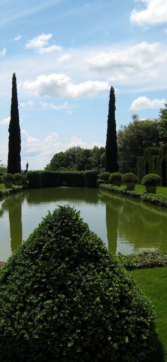 pond, yard, garden, registration, bushes, green, cones