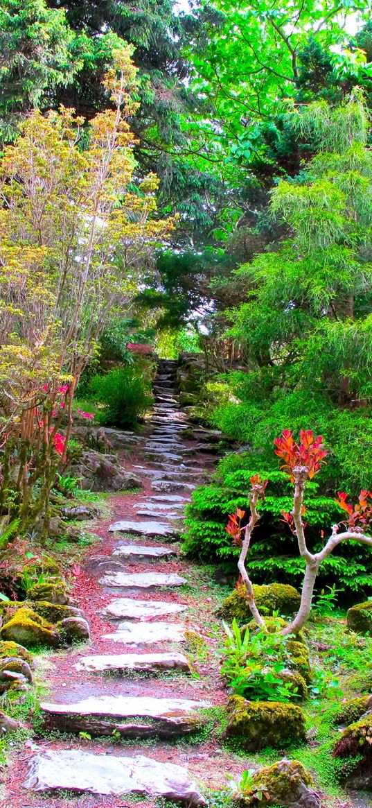 garden, green, brightly, vegetation, trees, branches, steps