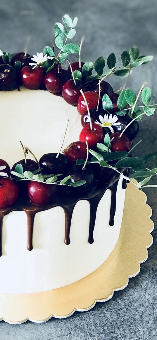 cake, cherries, chocolate