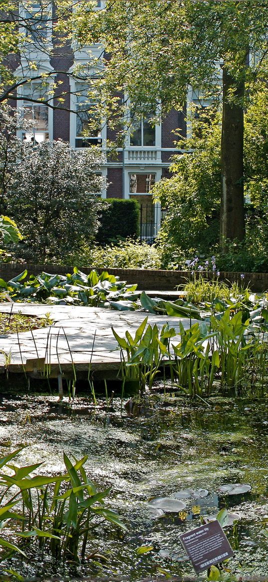 lake, pond, garden, water-lilies, plate, yard, vegetation