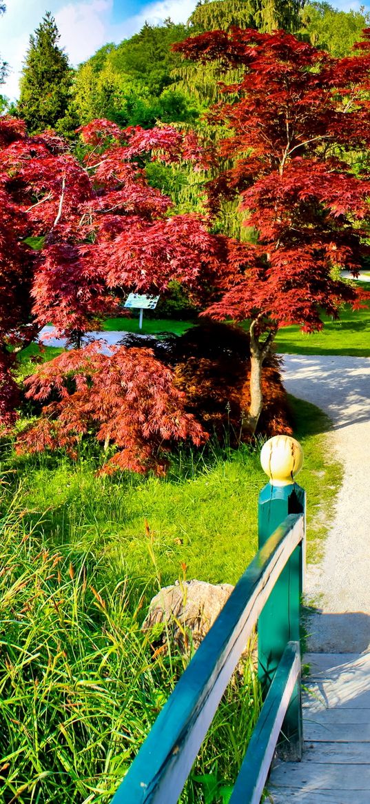 path, fork, garden, trees