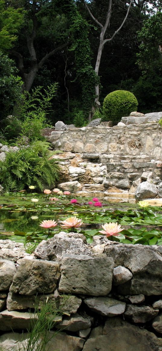 stones, pond, china, garden, water-lilies, harmony, lamp