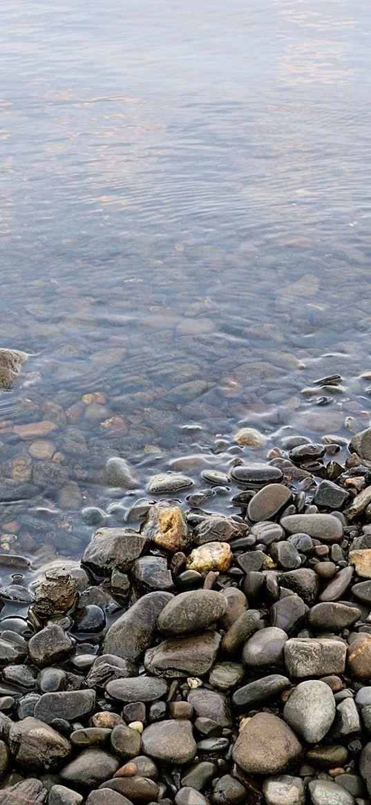 stones, pebble, water, coast, bottom, transparent, humidity