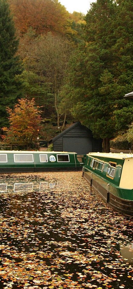 dock, boats, walking, river, leaves, autumn