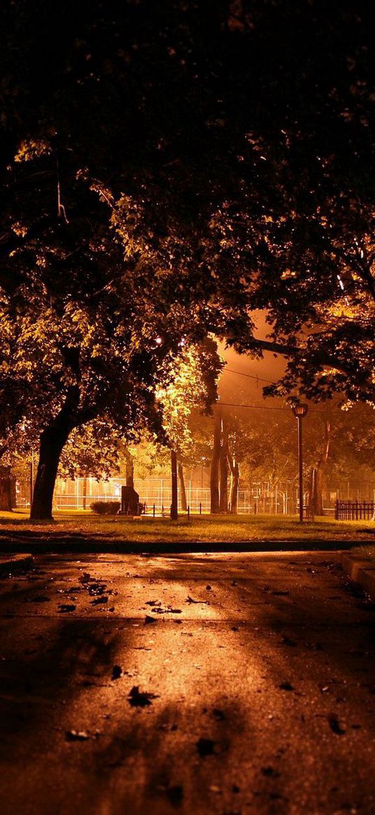 park, night, lighting, trees, path, leaves