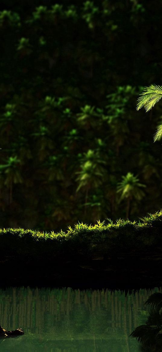 fern, moss, greens, from below, darkness