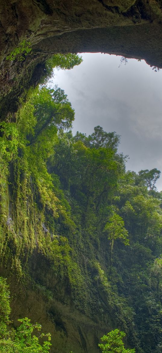 gorge, arch, rock, vegetation, green, sky, clouds, from below