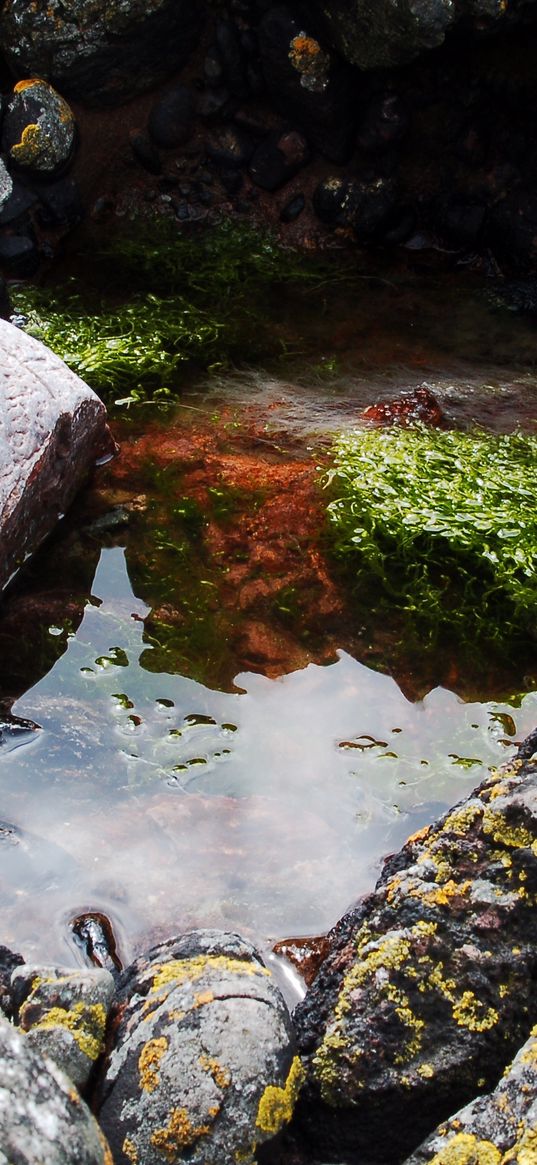 stones, water, pool, moss, porous, silt