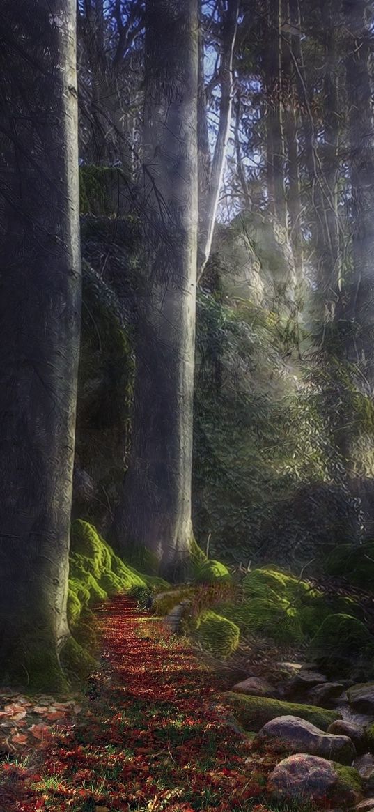 footpath, wood, beams, sun, light, stones, path, mysterious, moss