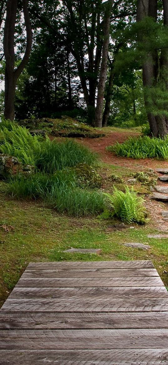 bridge, wooden, garden, vegetation, greens