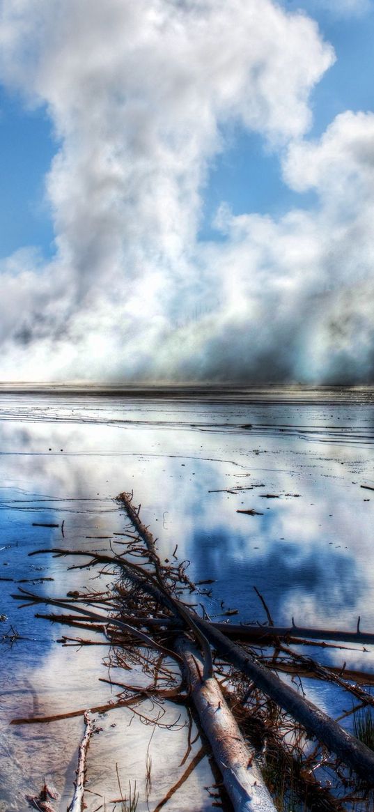 trees, branches, source, steam, thermal, water