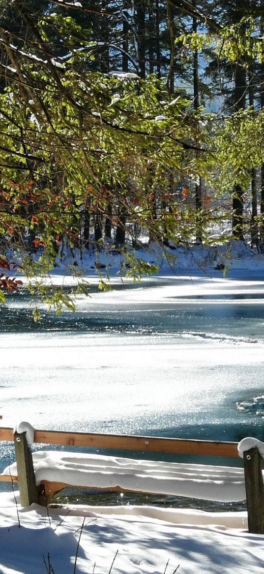 bench, spring, coast, lake, ice, thawing, snow, trees