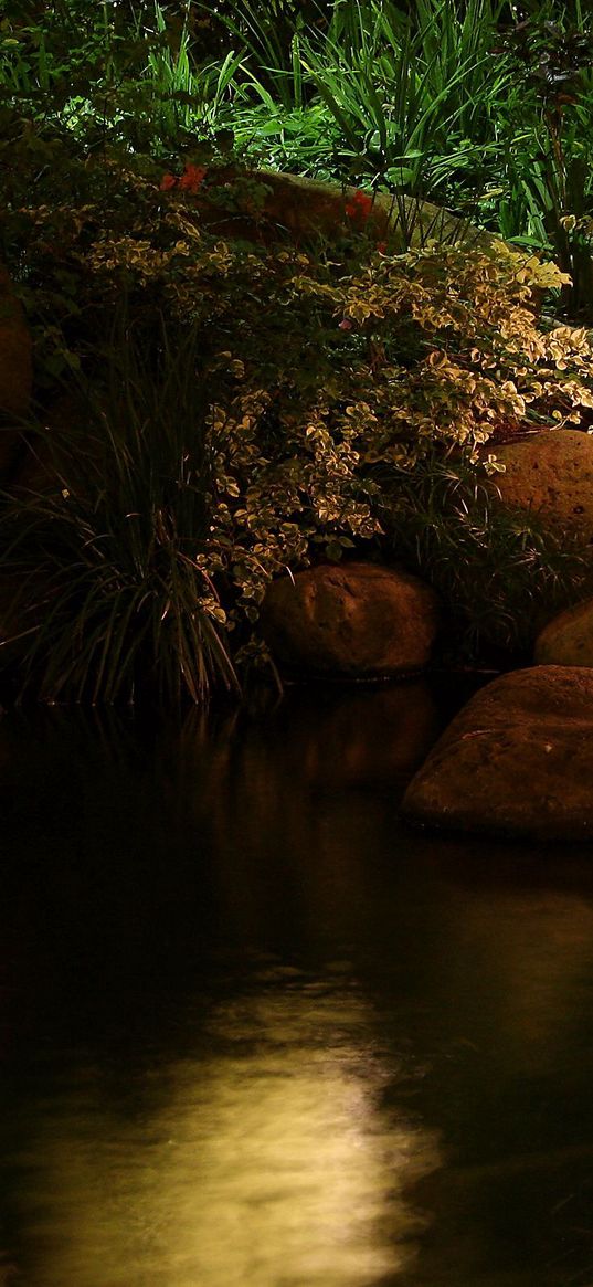 lamp, pond, light, china, stones, reflection, night, vegetation