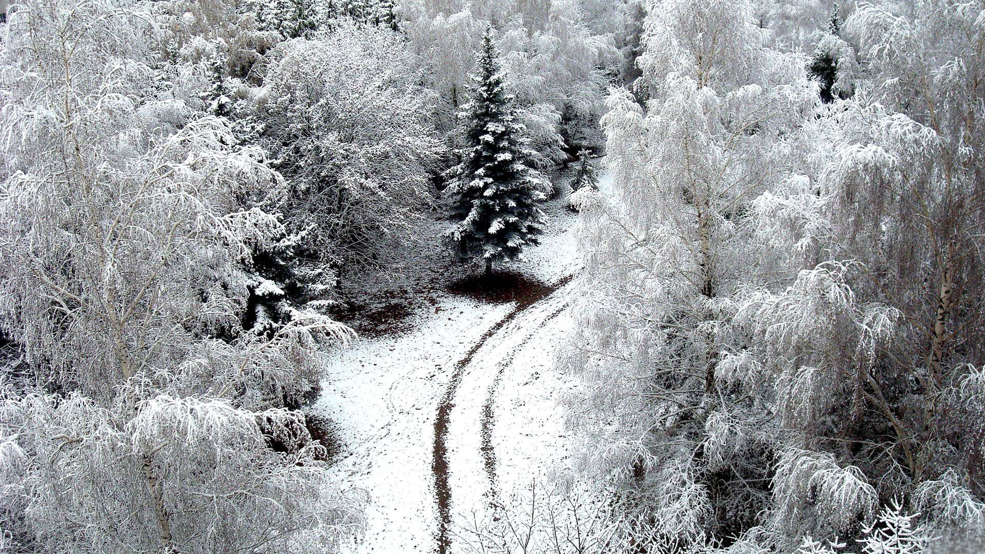 winter, road, snow, hoarfrost, trees, from above, frosts