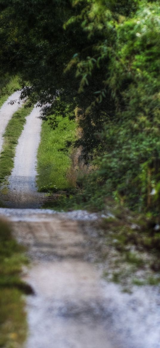 road, country, strips, vegetation, summer, cloudy