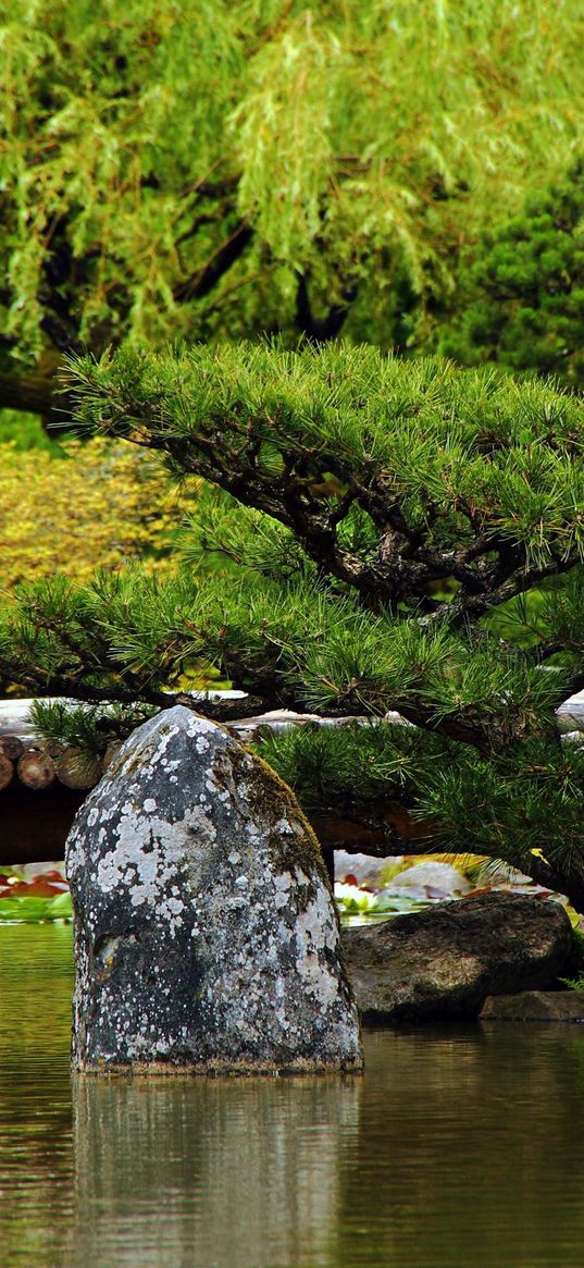 bridge, stones, trees, pond, timbered, greens, summer, smooth surface