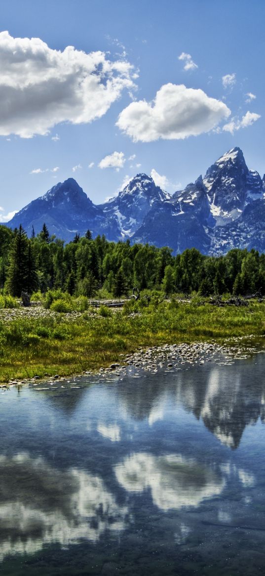 river, clouds, reflection, mountains, wood, harmony, brightly