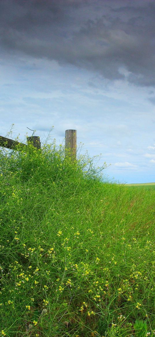 field, grass, protection, sky, cloudy, log